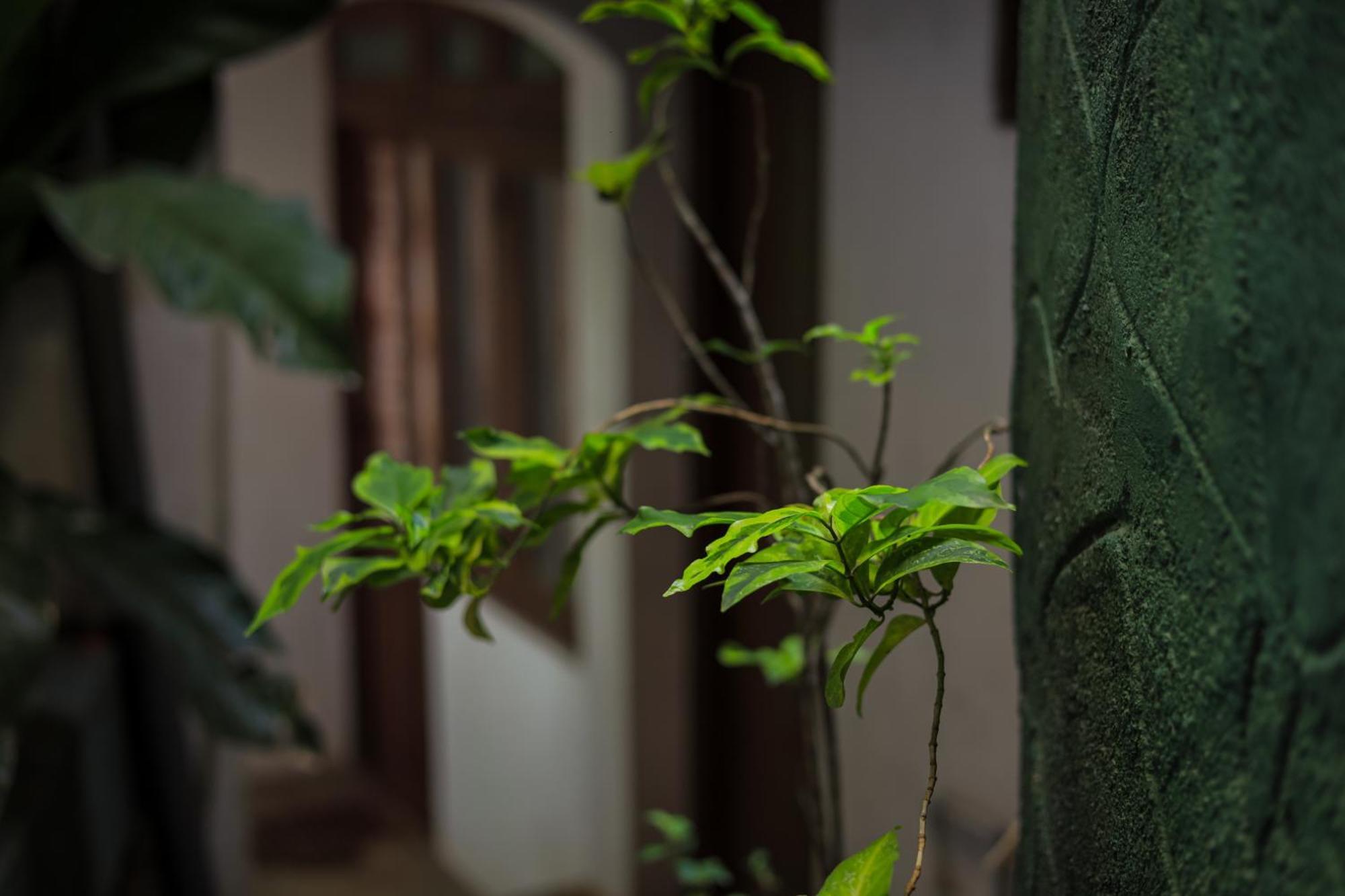 Cielo Residence Kandy Ngoại thất bức ảnh